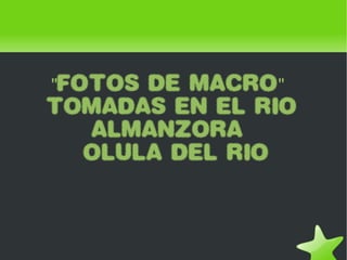 &quot;FOTOS DE MACRO&quot;  TOMADAS EN EL RIO ALMANZORA  OLULA DEL RIO 