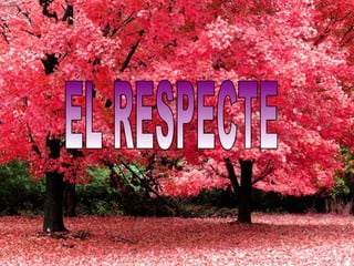 EL RESPECTE 