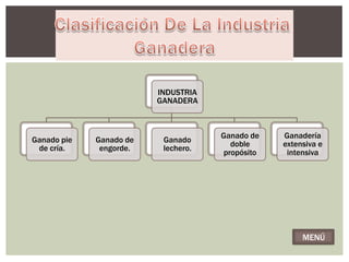 INDUSTRIA
                         GANADERA



                                     Ganado de   Ganadería
Ganado pie   Ganado de    Ganado
                                       doble     extensiva e
 de cría.     engorde.    lechero.
                                     propósito    intensiva




                                                      MENÚ
 