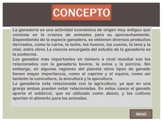 La ganadería es una actividad económica de origen muy antiguo que
consiste en la crianza de animales para su aprovechamiento.
Dependiendo de la especie ganadera, se obtienen diversos productos
derivados, como la carne, la leche, los huevos, los cueros, la lana y la
miel, entre otros. La ciencia encargada del estudio de la ganadería es
la zootecnia.
Los ganados más importantes en número a nivel mundial son los
relacionados con la ganadería bovina, la ovina y la porcina. Sin
embargo, en algunas regiones del planeta otros tipos de ganado
tienen mayor importancia, como el caprino y el equino, como así
también la cunicultura, la avicultura y la apicultura.
La ganadería esta relacionada con la agricultura, ya que en una
granja ambas pueden estar relacionadas. En estos casos el ganado
aporta el estiércol, que es utilizado como abono, y los cultivos
aportan el alimento para los animales.


                                                                MENÚ
 