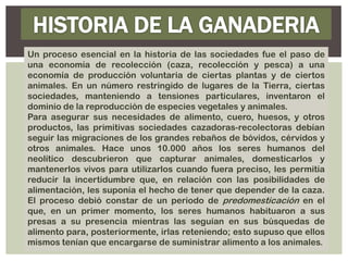 Un proceso esencial en la historia de las sociedades fue el paso de
una economía de recolección (caza, recolección y pesca) a una
economía de producción voluntaria de ciertas plantas y de ciertos
animales. En un número restringido de lugares de la Tierra, ciertas
sociedades, manteniendo a tensiones particulares, inventaron el
dominio de la reproducción de especies vegetales y animales.
Para asegurar sus necesidades de alimento, cuero, huesos, y otros
productos, las primitivas sociedades cazadoras-recolectoras debían
seguir las migraciones de los grandes rebaños de bóvidos, cérvidos y
otros animales. Hace unos 10.000 años los seres humanos del
neolítico descubrieron que capturar animales, domesticarlos y
mantenerlos vivos para utilizarlos cuando fuera preciso, les permitía
reducir la incertidumbre que, en relación con las posibilidades de
alimentación, les suponía el hecho de tener que depender de la caza.
El proceso debió constar de un periodo de predomesticación en el
que, en un primer momento, los seres humanos habituaron a sus
presas a su presencia mientras las seguían en sus búsquedas de
alimento para, posteriormente, irlas reteniendo; esto supuso que ellos
mismos tenían que encargarse de suministrar alimento a los animales.
 