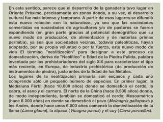 En este sentido, parece que el desarrollo de la ganadería tuvo lugar en
Oriente Próximo, precisamente en zonas donde, a su vez, el desarrollo
cultural fue más intenso y temprano. A partir de esos lugares se difundió
esta nueva relación con la naturaleza, ya sea que las sociedades
convertidas en sociedades de agricultores y/o de pastores se fueron
expandiendo (en gran parte gracias al potencial demográfico que su
nuevo modo de producción, de alimentación y de materias primas
permitía), ya sea que sociedades vecinas, todavía paleolíticas, hayan
adoptado, por su propia voluntad o por la fuerza, este nuevo modo de
vida El término "neolitización" para designar a este proceso de
domesticación, deriva de "Neolítico" o Edad de la Piedra Pulida, palabra
inventada por los prehistoriadores del siglo XIX para caracterizar el tipo
más reciente, en Europa, de industria prehistórica (de producción de
instrumentos de piedra), justo antes de la Edad de los Metales.
Los lugares de la neolitización primaria son escasos y cada uno
comprende sólo un pequeño número de especies. En primer lugar, la
Medialuna Fértil (hace 10.000 años) donde se domesticó el cerdo, la
cabra, el asno y el carnero. El norte de la China (hace 8.500 años) donde,
de modo independiente, también se domesticó el cerdo; Mesoamérica
(hace 8.000 años) en donde se domesticó el pavo (Meleagris gallopavo) y
los Andes, donde hace unos 6.000 años comenzó la domesticación de la
llama (Lama glama), la alpaca (Vicugna pacos) y el cuy (Cavia porcellus).
 