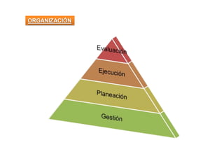 ORGANIZACIÓN