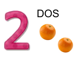 DOS
 
