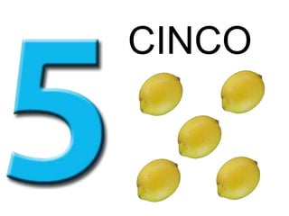 CINCO
 