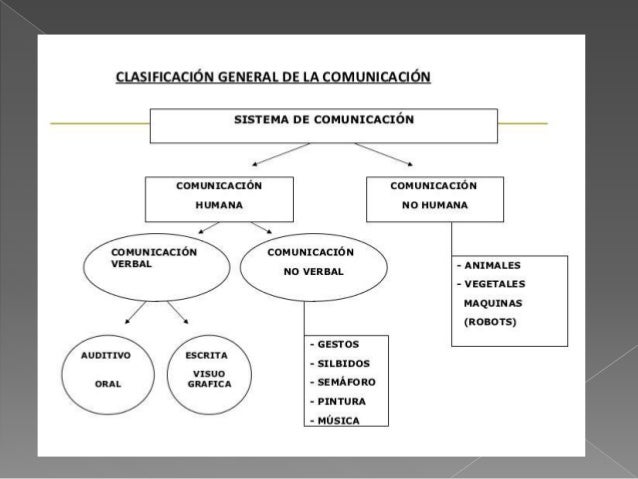 los procesos de comunicacion y el circuito del habla