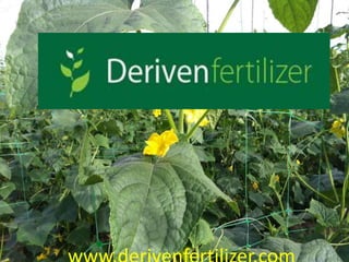 www.derivenfertilizer.com 
 