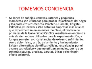 TOMEMOS CONCIENCIA 
• Millones de conejos, cobayos, ratones y pequeños 
mamíferos son utilizados para probar los artículos del hogar 
y los productos cosméticos. Procter & Gamble, Colgate- 
Palmolive y Unilever están entre las empresas más crueles 
que experimentan en animales. En Chile, el bioterio de 
primates de la Universidad Católica mantiene en encierro a 
más de cien monos utilizados para la experimentación, a 
los que someten a circunstancias de extremo sufrimiento, 
como dolor físico, estrés, aislamiento y hacinamiento. 
Existen alternativas científicas válidas, respaldadas por el 
avance tecnológico y que no utilizan animales, por lo que 
son más seguras, precisas, baratas, éticas y sin ningún 
efecto colateral. 
 