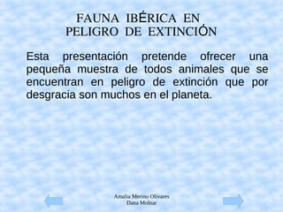 Amalia Merino Olivares
Dana Molnar
FAUNA IB RICA ENÉ
PELIGRO DE EXTINCI NÓ
Esta presentación pretende ofrecer una
pequeña muestra de todos animales que se
encuentran en peligro de extinción que por
desgracia son muchos en el planeta.
 