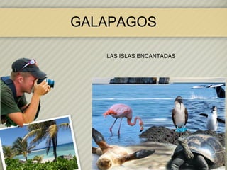 GALAPAGOS
LAS ISLAS ENCANTADAS