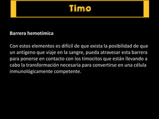 Barrera hemotímica
Con estos elementos es difícil de que exista la posibilidad de que
un antígeno que viaje en la sangre, pueda atravesar esta barrera
para ponerse en contacto con los timocitos que están llevando a
cabo la transformación necesaria para convertirse en una célula
inmunológicamente competente.
 