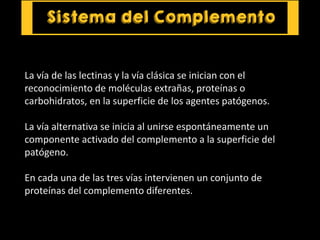 La vía de las lectinas y la vía clásica se inician con el
reconocimiento de moléculas extrañas, proteínas o
carbohidratos, en la superficie de los agentes patógenos.
La vía alternativa se inicia al unirse espontáneamente un
componente activado del complemento a la superficie del
patógeno.
En cada una de las tres vías intervienen un conjunto de
proteínas del complemento diferentes.
 