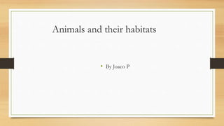 Animals and their habitats
• By Joaco P
 