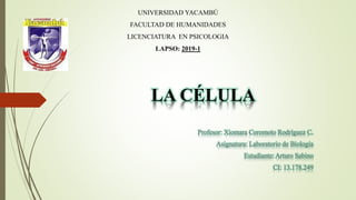 LA CÉLULA
Profesor: Xiomara Coromoto Rodríguez C.
Asignatura: Laboratorio de Biología
Estudiante: Arturo Sabino
CI: 13.178...