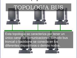 Esta topología se caracteriza por tener un
único canal de comunicaciones llamado bus
troncal o backbone se conecta en los
diferentes dispositivos o demás nodos.
TOPOLOGIA BUS
 