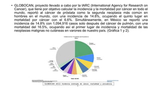• GLOBOCAN, proyecto llevado a cabo por la IARC (International Agency for Research on
Cancer), que tiene por objetivo calcular la incidencia y la mortalidad por cáncer en todo el
mundo, reportó al cáncer de próstata como la segunda neoplasia más común en
hombres en el mundo, con una incidencia de 14.8%, ocupando el quinto lugar en
mortalidad por cáncer con el 6.6%. Simultáneamente, en México se reportó una
incidencia de 14.8% con 1,094,916 casos solo después del cáncer de pulmón, con una
mortalidad del 16.5%, ocupando así el primer lugar de incidencia y mortalidad de las
neoplasias malignas no cutáneas en varones de nuestro país. (Gráfica 1 y 2).
 