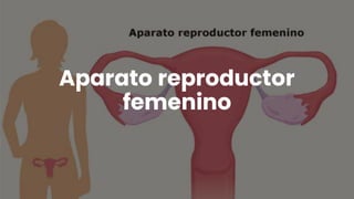 Aparato reproductor
femenino
 