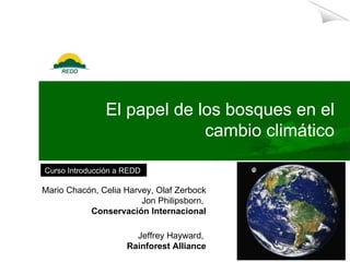 El papel de los bosques en el cambio climático Mario Chacón,  Celia Harvey, Olaf Zerbock Jon Philipsborn,  Conservación Internacional Jeffrey Hayward,  Rainforest Alliance 