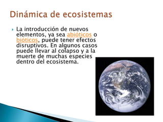 La introducción de nuevos elementos, ya sea abióticos o bióticos, puede tener efectos disruptivos. En algunos casos puede llevar al colapso y a la muerte de muchas especies dentro del ecosistema.Dinámica de ecosistemas