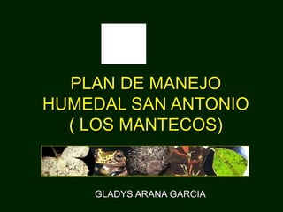 GLADYS ARANA GARCIAGLADYS ARANA GARCIA
PLAN DE MANEJOPLAN DE MANEJO
HUMEDAL SAN ANTONIOHUMEDAL SAN ANTONIO
( LOS MANTECOS)( LOS MANTECOS)
 