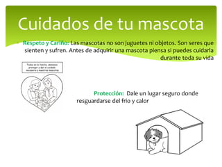  Respeto y Cariño: Las mascotas no son juguetes ni objetos. Son seres que
sienten y sufren. Antes de adquirir una mascota piensa si puedes cuidarla
durante toda su vida
Protección: Dale un lugar seguro donde
resguardarse del frio y calor
Cuidados de tu mascota
 