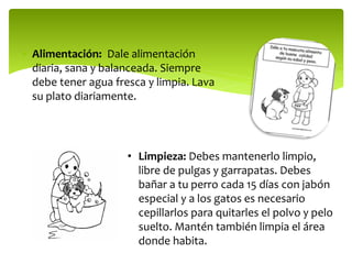  Alimentación: Dale alimentación
diaria, sana y balanceada. Siempre
debe tener agua fresca y limpia. Lava
su plato diariamente.
• Limpieza: Debes mantenerlo limpio,
libre de pulgas y garrapatas. Debes
bañar a tu perro cada 15 días con jabón
especial y a los gatos es necesario
cepillarlos para quitarles el polvo y pelo
suelto. Mantén también limpia el área
donde habita.
 