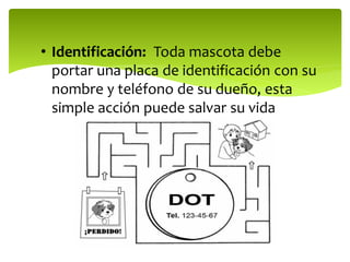 • Identificación: Toda mascota debe
portar una placa de identificación con su
nombre y teléfono de su dueño, esta
simple acción puede salvar su vida
 