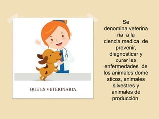 Se
denomina veterina
ria a la
ciencia medica de
prevenir,
diagnosticar y
curar las
enfermedades de
los animales domé
sticos, animales
silvestres y
animales de
producción.
QUE ES VETERINARIA
