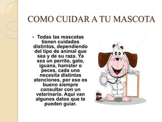 COMO CUIDAR A TU MASCOTA
Todas las mascotas
tienen cuidados
distintos, dependiendo
del tipo de animal que
sea y de su raza. Ya
sea un perrito, gato,
iguana, hamster o
peces, cada uno
necesita distintas
atenciones, por eso es
bueno siempre
consultar con un
veterinario. Aquí van
algunos datos que te
pueden guiar.