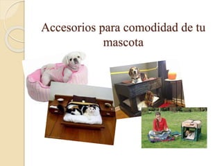 Accesorios para comodidad de tu
mascota