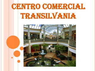 CENTRO COMERCIAL
TRANSILVANIA

 