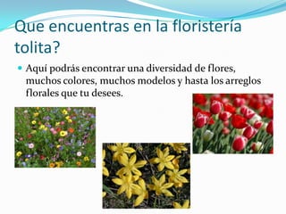 Que encuentras en la floristería
tolita?
Aquí podrás encontrar una diversidad de flores,
muchos colores, muchos modelos y hasta los arreglos
florales que tu desees.