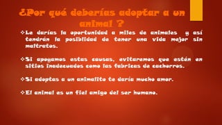 ¿Por qué deberías adoptar a un
animal ?
Le darías la oportunidad a miles de animales y así
tendrán la posiblidad de tener una vida mejor sin
maltratos.
Si apoyamos estas causas, evitaremos que estén en
sitios inadecuados como las fabricas de cachorros.
Si adoptas a un animalito te daría mucho amor.
El animal es un fiel amigo del ser humano.
 