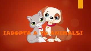 ¡ADOPTA A TU ANIMALS!
 