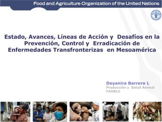 Estado, Avances, Líneas de Acción y Desafíos en la
Prevención, Control y Erradicación de
Enfermedades Transfronterizas en Mesoamérica
Deyanira Barrero L
Producción y Salud Animal
FAORLC
 