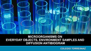 MICROORGANISMS ONMICROORGANISMS ON
EVERYDAY OBJECTS, ENVIRONMENT SAMPLES ANDEVERYDAY OBJECTS, ENVIRONMENT SAMPLES AND
DIFFUSION ANTIBIOGRAMDIFFUSION ANTIBIOGRAM
COLEGIO TORREÁNAZCOLEGIO TORREÁNAZ
 