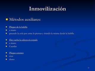 Inmovilización Métodos auxiliares: Pliegue de la babilla a mano pasando la cola por entre la piernas y tirando la misma desde la babilla. Dar vuelta la cabeza al costado a mano Cuerdas Pliegue cutaneo cruz dorso 