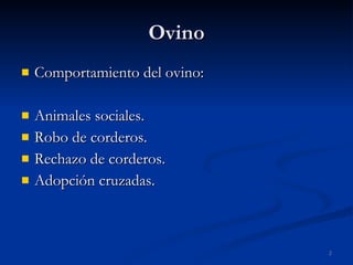 Ovino Comportamiento del ovino: Animales sociales. Robo de corderos. Rechazo de corderos. Adopción cruzadas. 