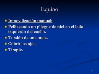 Equino Inmovilización manual: Pellizcando un pliegue de piel en el lado izquierdo del cuello. Torsión de una oreja. Cubrir los ojos. Tirapié.  