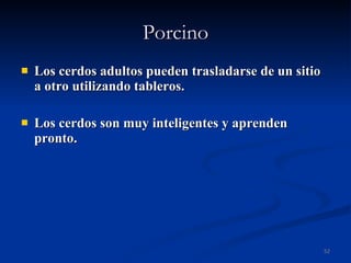 Porcino Los cerdos adultos pueden trasladarse de un sitio a otro utilizando tableros. Los cerdos son muy inteligentes y aprenden pronto. 