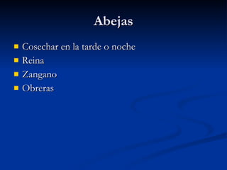 Abejas Cosechar en la tarde o noche Reina  Zangano Obreras 