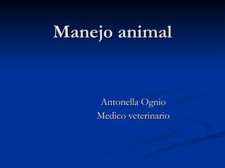 Manejo animal Antonella Ognio Medico veterinario 