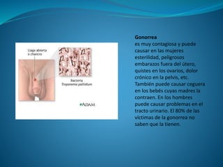 Gonorrea
es muy contagiosa y puede
causar en las mujeres
esterilidad, peligrosos
embarazos fuera del útero,
quistes en los ovarios, dolor
crónico en la pelvis, etc.
También puede causar ceguera
en los bebés cuyas madres la
contraen. En los hombres
puede causar problemas en el
tracto urinario. El 80% de las
víctimas de la gonorrea no
saben que la tienen.
 