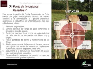 Sabemos Cómo
Fondo de Capital Privado – Inversiones Ganaderas
Fondo de “Inversiones
Ganaderas”
Para apoyar la gestión del Fondo, Profesionales de Bolsa
cuenta con grupo interdisciplinario dedicado de manera
exclusiva a la administración y gestoría profesional,
garantizando la ejecución de las funciones bajo los más altos
estándares de calidad.
1. Selección de ganaderos.
2. Compra selectiva por rango de peso, coherentes al
proceso de ceba del ganado.
3. Control de inventario: Inicia con la marcación individual
de cada uno de los semovientes con hierro, chip y
orejera.
4. Planes periódicos de control y mantenimiento de las
fincas.
5. Monitoreo permanente de la ganancia de peso mensual
para ajustar los planes de alimentación, suplementos
nutricionales, rotación de potreros, entre otros.
6. Seguimiento a la estructura de maduración del ganado
para optimizar el ciclo productivo.
7. Comercialización asegurada del ganado, a través de
convenios con las grandes superficies.
•Toma la
decisión del
manejo de
Activos
•Encargada de
administrar
los recursos
•Gestiona la
operación del
Ganado.
•Vigila y
controla los
activos.
Comité de
Vigilancia y
Control
Gestor
Profesional
Comité de
Inversiones
Sociedad
Administra
dora
 