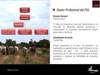 Sabemos Cómo
Director
General
Coordinador
De zonas
Asesor zona San
Pedro De Urabá
Asesor zona
Montería
Asesor zona
Valledupar
Secretaria
Gestor Profesional del FIG
Director General
Andrés Forero
31 años de experiencia comercial, administrativa y de
mercadeo en diferentes sectores económicos y
empresariales de Colombia, desempeñando cargos
gerenciales y directivos
Coordinador de zonas
Freddy Rios
Amplia experiencia en el área de ganadería en
explotación de ganado bovino, específicamente en las
actividades de ceba, cría y doble propósito.
Experiencia de 14 años en la administración de hatos
ganaderos y estudios de factibilidad de proyectos
ganaderos.
 