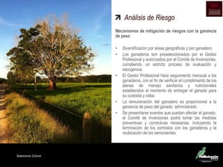 Sabemos Cómo
Análisis de Riesgo
Mecanismos de mitigación de riesgos con la ganancia
de peso
• Diversificación por áreas geográficas y por ganadero.
• Los ganaderos son preseleccionados por el Gestor
Profesional y autorizados por el Comité de Inversiones,
cumpliendo un estricto proceso de evaluación y
escogencia.
• El Gestor Profesional hace seguimiento mensual a los
ganaderos, con el fin de verificar el cumplimiento de los
planes de manejo sanitarios y nutricionales
establecidos al momento de entregar el ganado para
su custodia y ceba.
• La remuneración del ganadero es proporcional a la
ganancia de peso del ganado administrado.
• De presentarse eventos que puedan afectar al ganado,
el Comité de Inversiones podrá tomar las medidas
preventivas y correctivas necesarias, incluyendo la
terminación de los contratos con los ganaderos y la
reubicación de los semovientes.
 