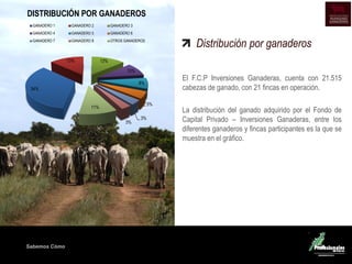 Sabemos Cómo
Distribución por ganaderos
El F.C.P Inversiones Ganaderas, cuenta con 21.515
cabezas de ganado, con 21 fincas en operación.
La distribución del ganado adquirido por el Fondo de
Capital Privado – Inversiones Ganaderas, entre los
diferentes ganaderos y fincas participantes es la que se
muestra en el gráfico.
34%
13% 13%
10%
8%
5%
3%
3%
11%
DISTRIBUCIÓN POR GANADEROS
GANADERO 1 GANADERO 2 GANADERO 3
GANADERO 4 GANADERO 5 GANADERO 6
GANADERO 7 GANADERO 8 OTROS GANADEROS
 