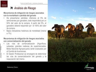 Sabemos Cómo
Fondo de Capital Privado – Inversiones Ganaderas
Análisis de Riesgo
Mecanismos de mitigación de riesgos asociados
con la mortalidad o pérdida del ganado
• De presentarse pérdidas inferiores al 5% de
semovientes por ganadero, éste responderá por un
50% del valor de la compra. A partir del 5%, el
ganadero deberá responder por el 100% del valor
de compra.
• Bajos indicadores históricos de mortalidad (menor
a 1%).
Mecanismos de mitigación de riesgos asociados
con comercialización del ganado
• Las vías de comercialización (frigoríficos,
subastas, grandes cadenas de supermercados,
Bolsa Nacional Agropecuario) serán evaluadas por
el Comité de Inversiones.
• El Gestor Profesional se encargará de determinar
las vías de comercialización del ganado y la
negociación del mismo.
 