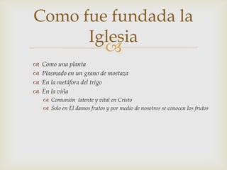 Como fue fundada la
      Iglesia
        
   Como una planta
   Plasmado en un grano de mostaza
   En la metáfora del trigo
   En la viña
     Comunión latente y vital en Cristo
     Solo en El damos frutos y por medio de nosotros se conocen los frutos
 