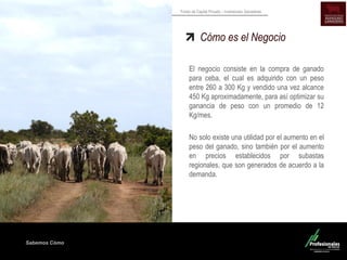 Sabemos Cómo
Fondo de Capital Privado – Inversiones Ganaderas
Cómo es el Negocio
El negocio consiste en la compra de ganado
para ceba, el cual es adquirido con un peso
entre 260 a 300 Kg y vendido una vez alcance
450 Kg aproximadamente, para así optimizar su
ganancia de peso con un promedio de 12
Kg/mes.
No solo existe una utilidad por el aumento en el
peso del ganado, sino también por el aumento
en precios establecidos por subastas
regionales, que son generados de acuerdo a la
demanda.
 